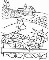 Coloring Farm Sunflower Beautiful Pages Coloringsky Color sketch template