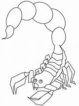 Scorpion Pages Kolorowanki Skorpiony Scorpions Pobrania Poisonous Bestcoloringpagesforkids sketch template