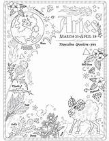 Shadows Witch Grimoire Wiccan sketch template