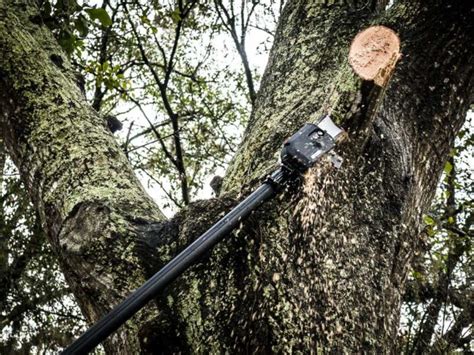 echo   pole  pruner review ope reviews