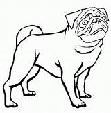 Pug Coloring Outline Pages Baby Puppy Clipart Printable Cute Drawing Printables Dutch Bulldog Color Cliparts Clip Library Print Drawings Collection sketch template