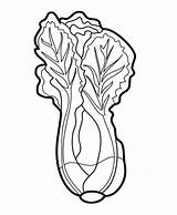 Mewarnai Sayuran Sayur Paud Tk Brokoli sketch template