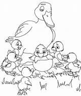 Duckling Ugly Coloring Pages Index Kids Print sketch template