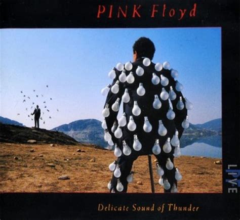 delicate sound of thunder pink floyd songs reviews credits allmusic