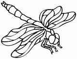 Dragonfly Libellule sketch template