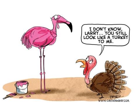 44 best flamingo funny images on pinterest