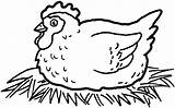 Coloring Pages Chicken Cow Animal Farm Printable Chickens sketch template
