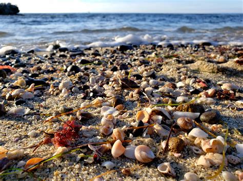 shell beach  sunset la jolla ca rbeach