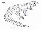 Lizard Armadillo Girdled Reptiles Drawingtutorials101 Improvements sketch template