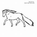Haflinger Coloring Trotting Pages Pony Index Horse Own Color sketch template