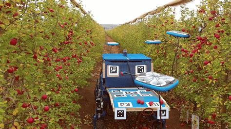 fruit picking drones   heading   orchard