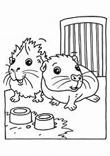 Guinea Pig Coloring Pages Pigs Baby Printable Kids Momjunction Books sketch template