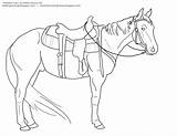 Horse Western Bending Pole Saddle Drawing Clipart Coloring Pages Barrel Racing Lineart Tack Transparent Webstockreview Getdrawings sketch template