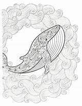Mandalas Animales Para Colorear Ballenas Tiernos Mandala Imprimir Pintar sketch template