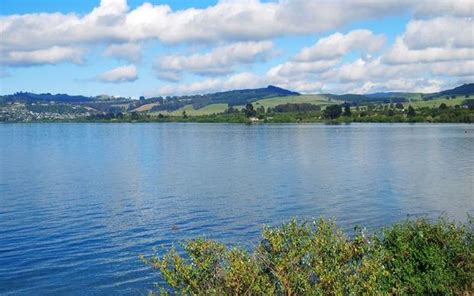 target reduction  nitrogen  lake taupo met radio  zealand news