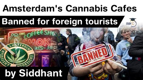 Amsterdam’s Cannabis Coffee Shops Why Dutch Gov Wants To Ban Foreign