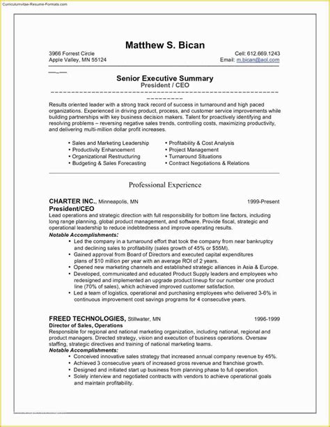 ceo resume templates  ceo resume template  samples examples