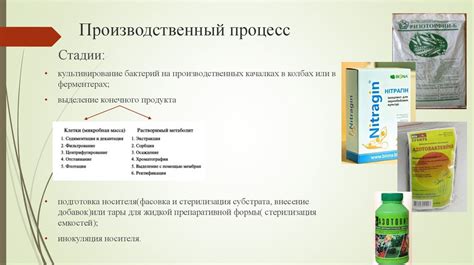 Проблемы фиксации азота презентация онлайн