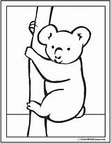 Koala Coloring Pages Peek Boo Realistic Baby Cute Sheet Colorwithfuzzy sketch template