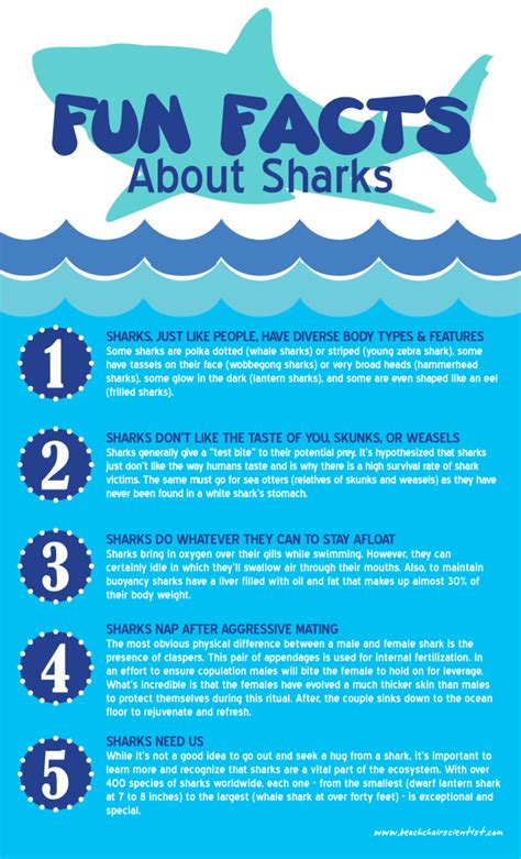 surprising facts  sharks