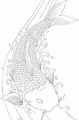 Koi Fish Coloring Pages Drawing Drawings Coy Dragon Printable Outline Tattoo Element Sheets Sheet Japanese Japanische Carp Fisch Print Colouring sketch template