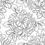 Chrysanthemum Henkes Tempura Shrimp Colourbox sketch template