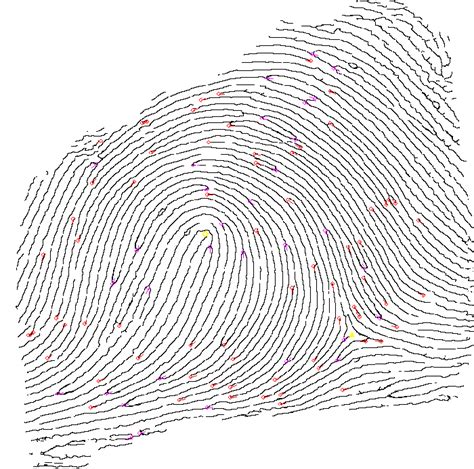 understanding fingerprints