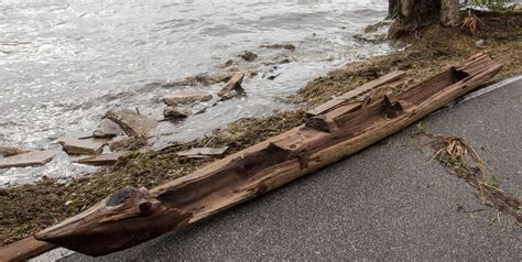 history blog blog archive irma exposes dugout canoe history
