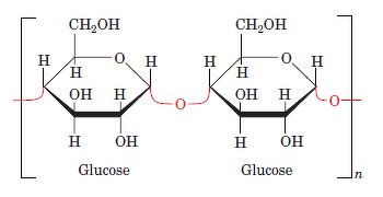glycosidic bond science life processes