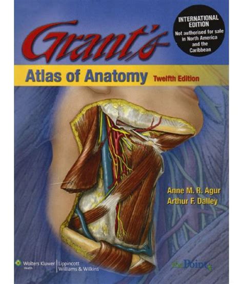 Grants Atlas Of Anatomy Buy Grants Atlas Of Anatomy Online At Low