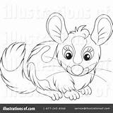 Chinchilla Coloring Clipart Illustration Bannykh Alex Royalty Getcolorings Rf Pages Color Print sketch template