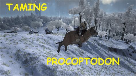 ark survival evolved ep  taming  procoptodon youtube