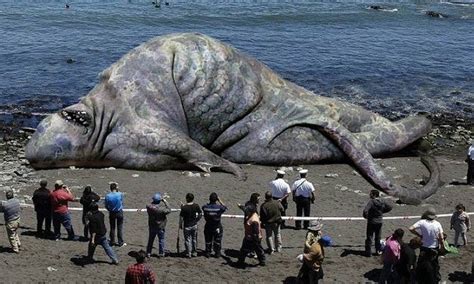 giant sea animals real life