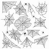 Spider Spinnennetz Cobweb Aranha Teia Spinnenweb Spiderweb Silhouette Ragnatela Eingestellt Insect Arachnid Ingesteld Spinneweb Thalia Jooent sketch template