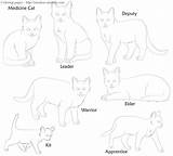 Warrior Cat Coloring Pages Cats Clan Bases Print Dog Rose Colouring Deviantart Template Timeless Miracle Drawings Popular Coloringhome Kitty Hello sketch template