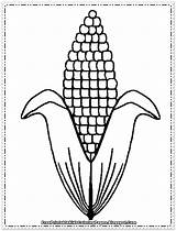 Corn Coloring Printable Ear Pages Cob Clipart Drawing Template Stalk Indian Print Clip Candy Kids Plant Diagram Color Cartoon Book sketch template