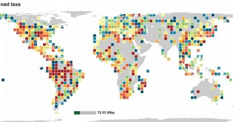 global genetic diversity mapped   study