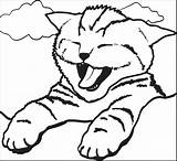 Coloring Cat Pages Cute Kitty Yawning Cats Fat Printable Kids Adult Print Color Animal Colouring Kitten Sheets Little Kawaii Yawn sketch template