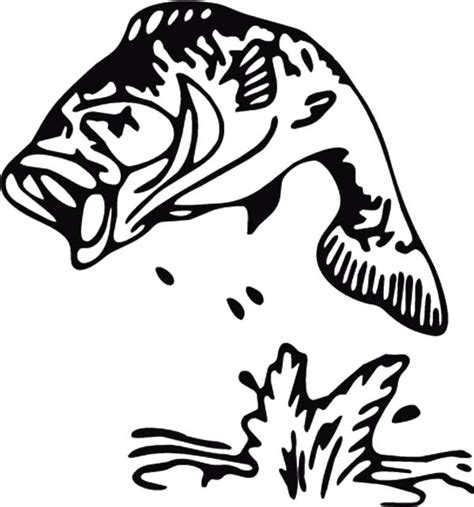 sea stripped bass fish coloring pages  place  color