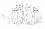 Cats Squirrelflight Wonder sketch template