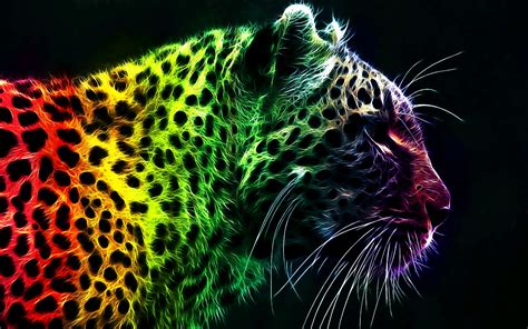 rainbow leopard wallpaper