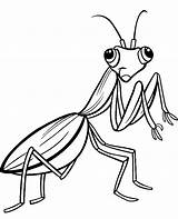 Insect Mantis Coloring Cricket Cartoon Drawing Wall Getdrawings Praying Mural Colouring Topcoloringpages Template Pixers sketch template