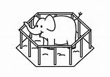 Elefante Jaula Dibujo Kooi Olifant Gabbia Colorir Tudodesenhos Grande Educolor Kleurplaten sketch template