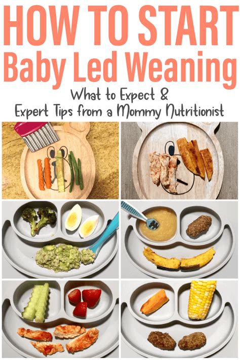 youve start baby led weaning heres   expect    tips   registered