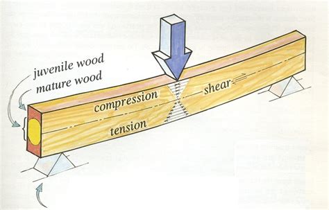 bending test  wooden beam