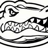 Logo Florida Gators Gator Stencil Svg Football Silhouette Cricut Coloring Dxf Crocodile College Stencils Uf Choose Board sketch template