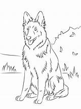 German Shepherd Coloring Pages Outside sketch template