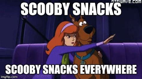 Hilarious Scooby Doo Memes For Scooby Doo Fans Love