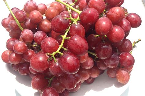organic red flame seedless grapes produce geek