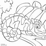 Coloring Pages Chameleon Camouflage Python Ball Reptiles Print Kids Drawing Sheets Mixed Clip Clipart Chameleons Reptile Getcolorings Template Lionni Leo sketch template
